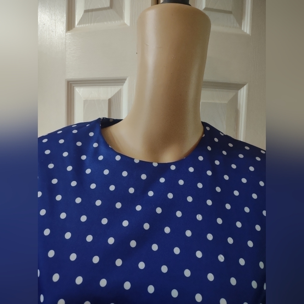 Anthony Richards women's size 8 petite blue with polka dot dress - Picture 5 of 8
